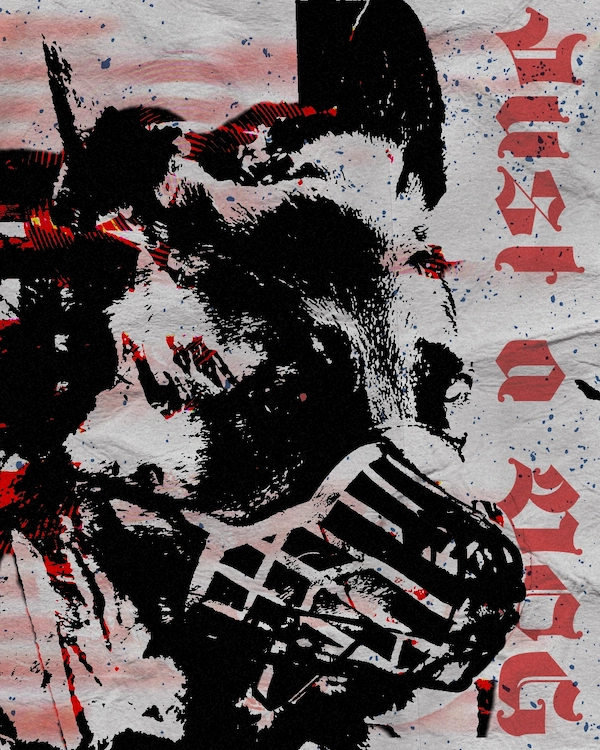 Just a Dog - Creative Expression Edmonton