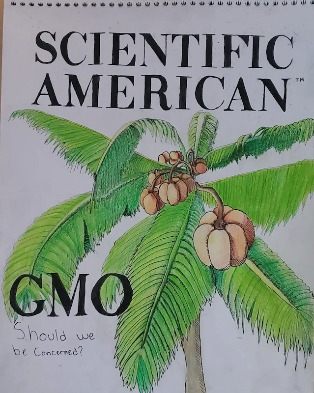 Botanical artwork from college - Jol.Design NAIT Portfolio