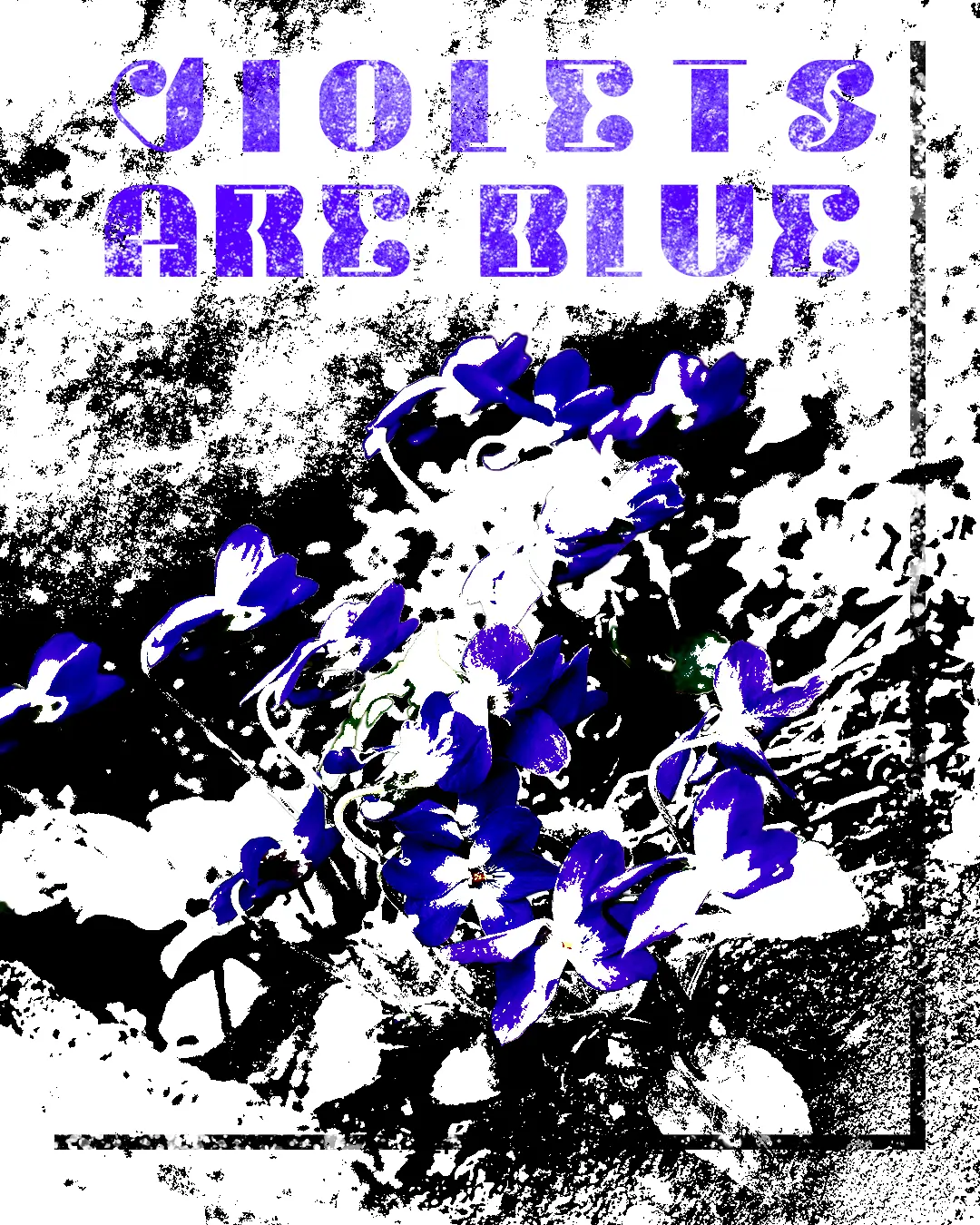 Violets Are Blue - Creative Posters Edmonton